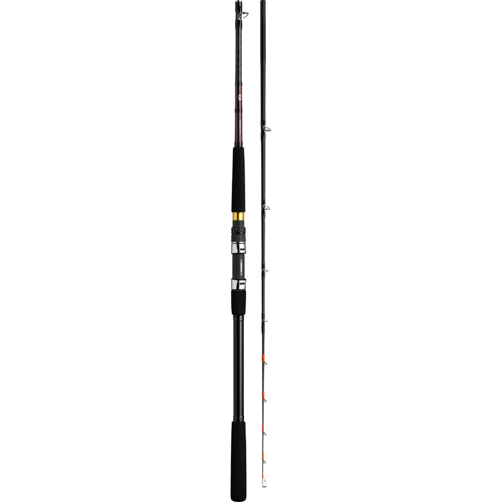 🔥【台南平昇釣具】🔥DAIWA YARIIKA X 175 並繼船釣竿 全新品