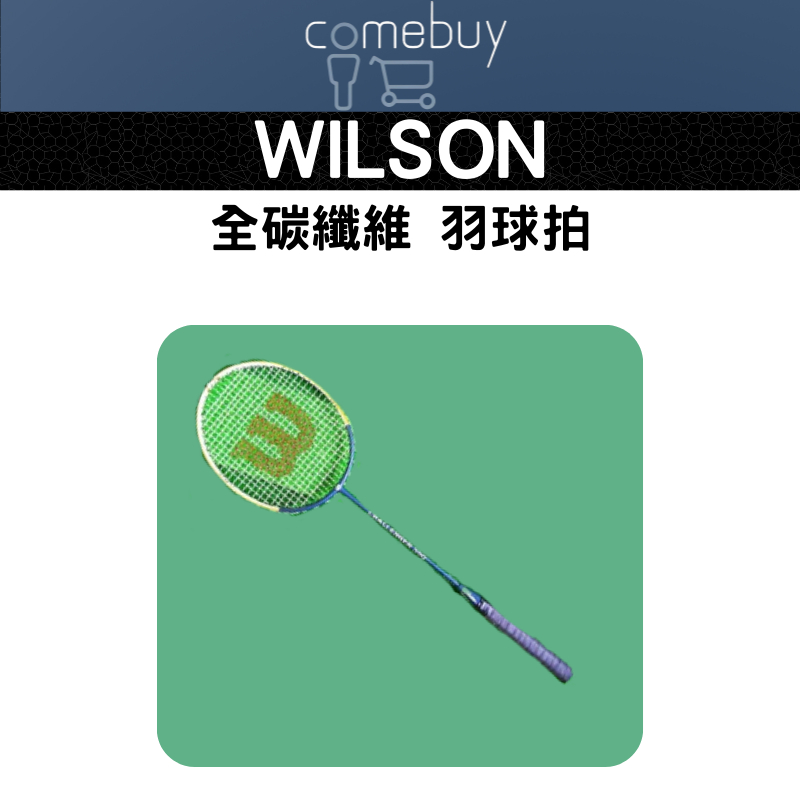 WILSON  全碳纖維 一體成型 550 羽球拍