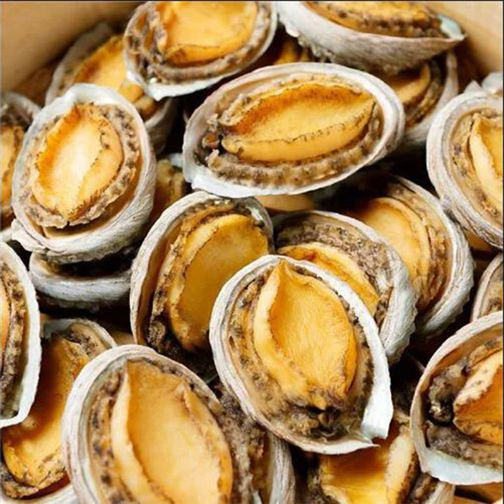 【悅生活】鮮市集--鮮甜活凍帶殼厚肉鮑魚10入裝 1000g±5/盒
