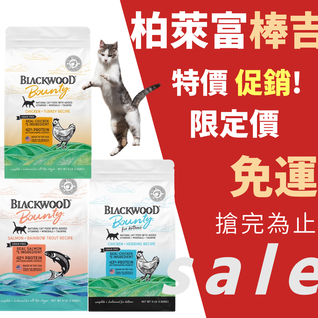 【】= Blackwood柏萊富 棒吉 無榖貓飼料 幼貓 / 全齡貓 成貓飼料 無穀貓飼料 柏萊富棒吉