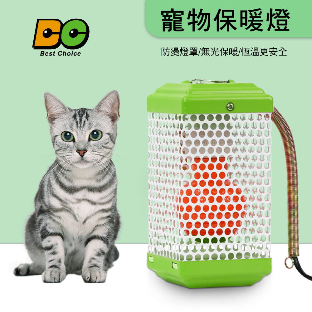 【BC】綠色方形高功能陶瓷保溫燈組 50W 8x8x17cm (適用各類寵物) 倉鼠 鸚鵡 小雞