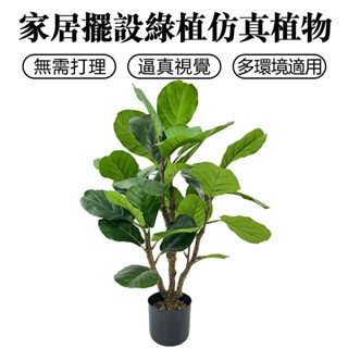 【Zemi 知米】模擬琴葉榕 模擬樹植物 假綠植盆栽 客廳室內 大型假盆景 落地擺件 假樹 假植物 模擬植栽