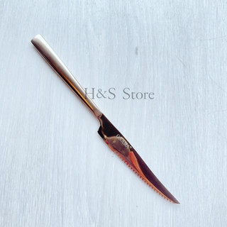 王樣 法國鍍鈦牛排刀23.4cm 餐具 牛排刀 鈦金屬 刀具 鈦餐具 OS-304-970 HsStore
