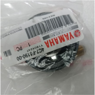 YAMAHA 山葉 原廠 RSZ JOG FS RS ZERO LIMI RS CUXI 碼表齒輪 碼錶齒輪