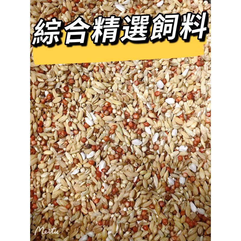 「鴿鴿養」 紅斑鳩飼料 斑鳩飼料 賽鴿飼料 清除飼料 種鴿飼料 鴿子飼料 綜合鼠飼料 野鳥飼料 松鼠飼料 鸚鵡飼料