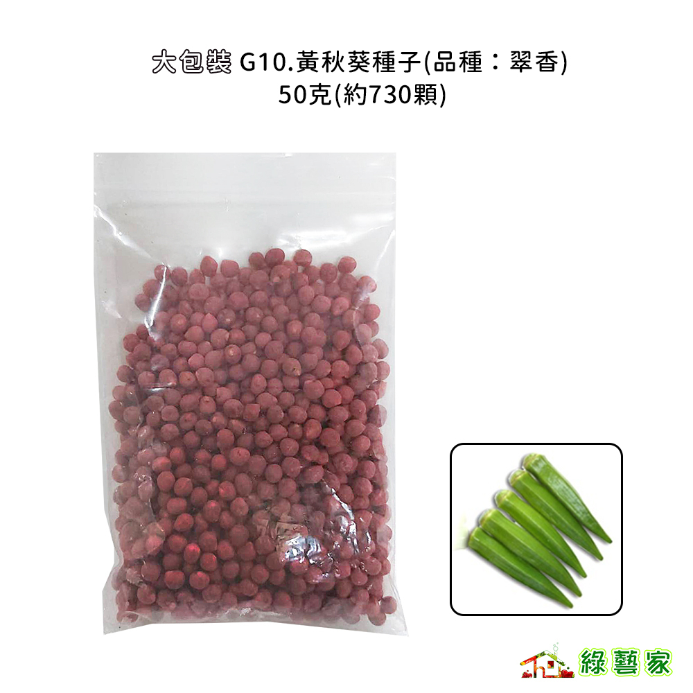 大包裝G10.黃秋葵種子50克(約730顆)(有藥劑處理)(品種：翠香) 別名羊角豆 結果綠色 營養價值高【綠藝家】