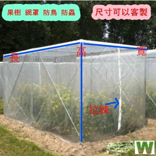 白網16目 果樹 網罩 平面防蟲網 45種規格 四邊 皆有車縫 防裂線 立體網 網室 溫室 台灣製造加工 發票 w711