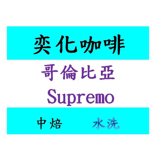 哥倫比亞 Supremo 梅德琳 波帕楊 咖啡豆 耳掛