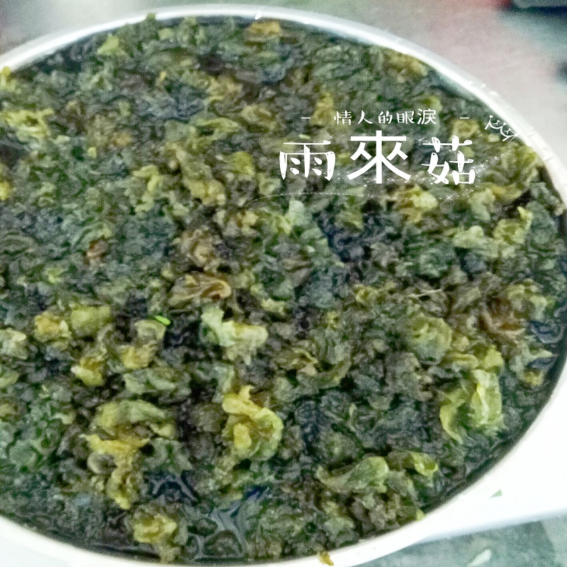 [慶魚堂]情人的眼淚(雨來菇)(農檢381零檢出、無毒、無農藥、無化肥食材。)