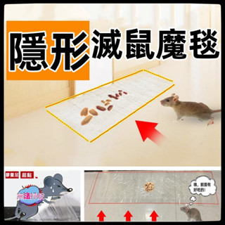 可樂居家生活 臺灣現貨 滅鼠魔毯 120CM 黏鼠貼 滅鼠貼 捕老鼠 抓鼠板 抓老鼠 老鼠貼 抓鼠貼 老鼠 捕鼠器
