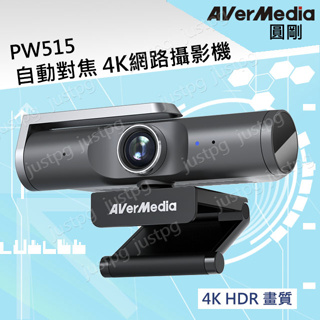 【AverMedia】圓剛 AI自動對焦4K網路攝影機 PW515 遠距教學 超廣角直播視訊 雙麥克風降噪 含稅開發票