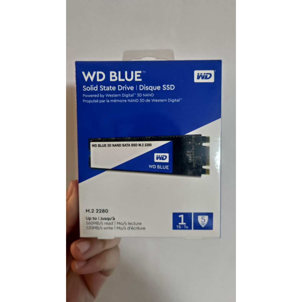 [全新未拆]WD 藍標 1TB M.2 2280 SATA 3D NAND SSD固態硬碟