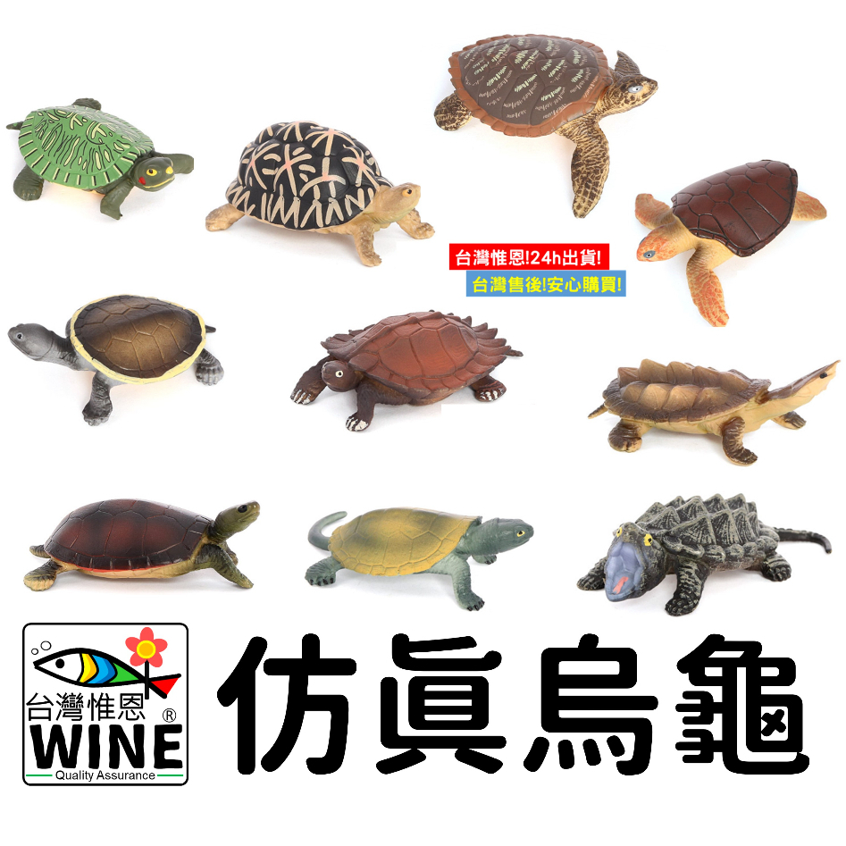 WINE台灣惟恩 微景觀 仿真烏龜 海龜 烏龜  龜 巴西紅耳龜 印度星龜 玳瑁 蠵龜 擬水龜 希氏蟾龜 刺山龜 枯葉龜