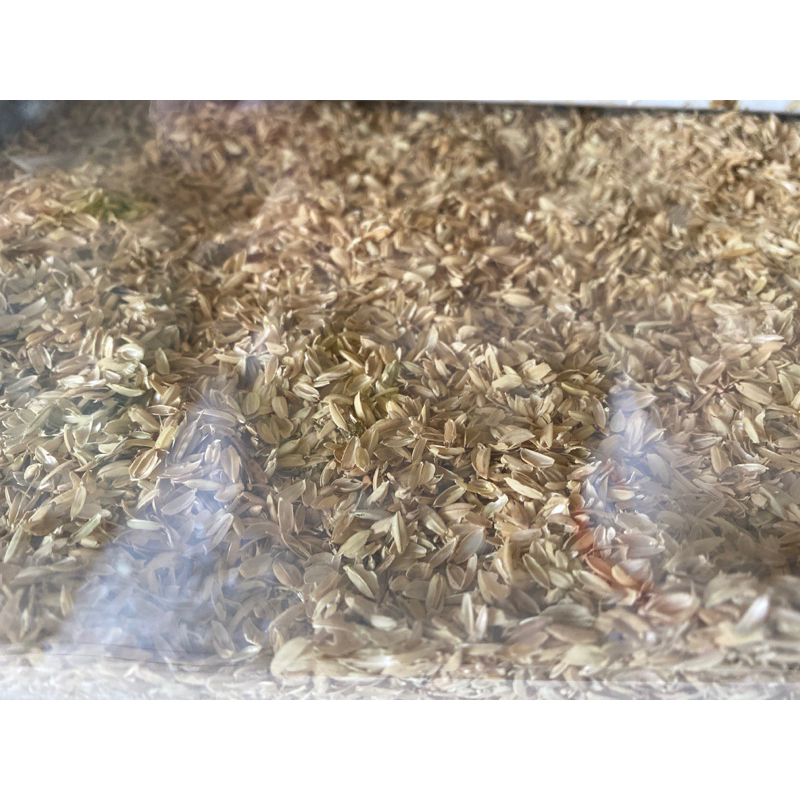 稻殼 粗糠 植栽 寵物墊料 可用來園藝鬆土 寵物底材 墊料 鵪鶉 盧丁雞小雞小鴨倉鼠 自製發酵床材料 小包裝新鮮！現貨！