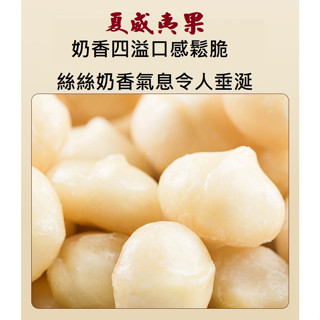原味夏威夷果 澳洲頂級原果 低溫烘培素燒 夏威夷豆低溫烘焙 夏威夷豆 頂級澳洲火山豆 咀嚼化出濃鬱奶香