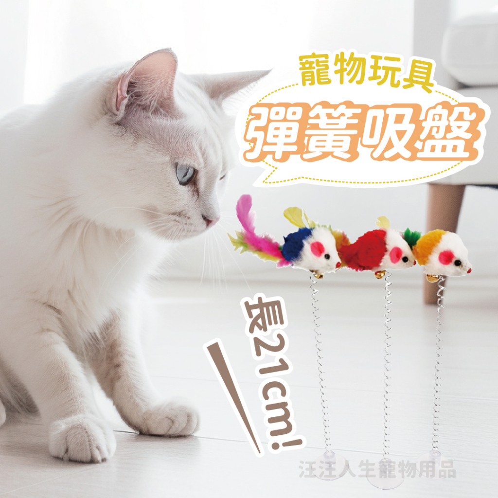 寵物彈簧系列吸盤玩具 貓玩具 狗玩具 小老鼠吸盤玩具 彈簧小老鼠 吸盤玩具 逗貓玩具 鈴鐺小老鼠 搖擺鼠