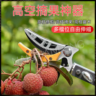 🌟免運 高空摘果神器 自由伸縮摘果器 多功能樹木摘果剪 可伸縮果樹修枝剪 採果器 伸縮高空剪 摘水果採摘器