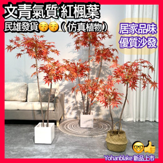 宅配免運費😇文青氣質紅楓葉😇模擬紅楓樹😇盆栽 紅楓造型樹 假樹 大型植物 裝飾楓葉 楓樹 模擬樹 造景植物 櫥窗植物