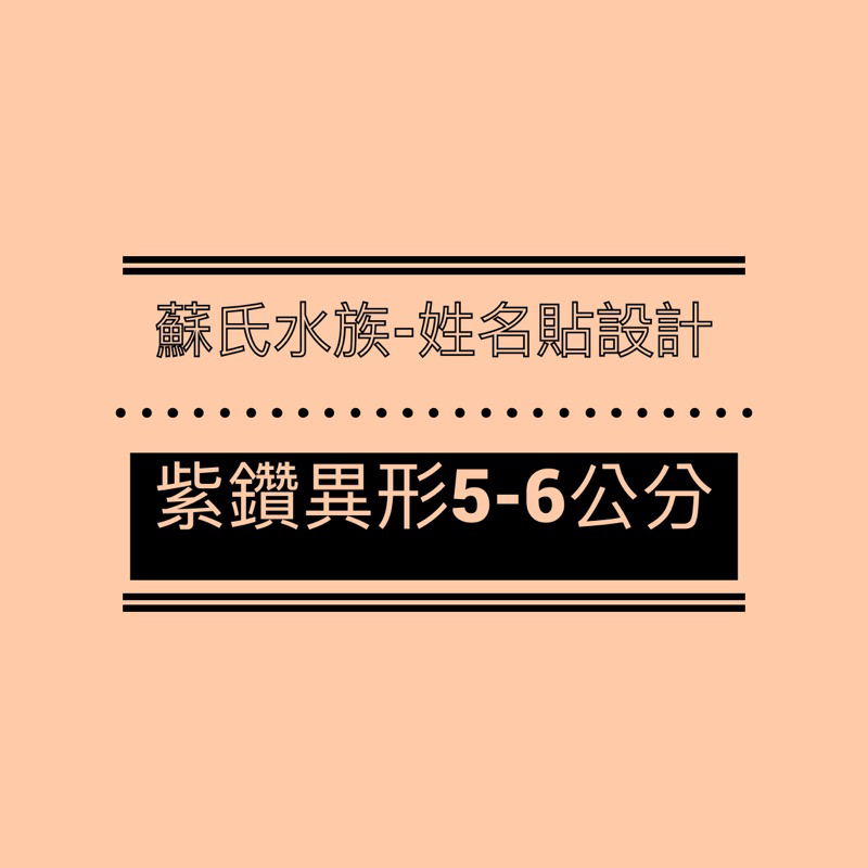 蘇氏水族-姓名貼設計 「紫鑽異形12-13公分」