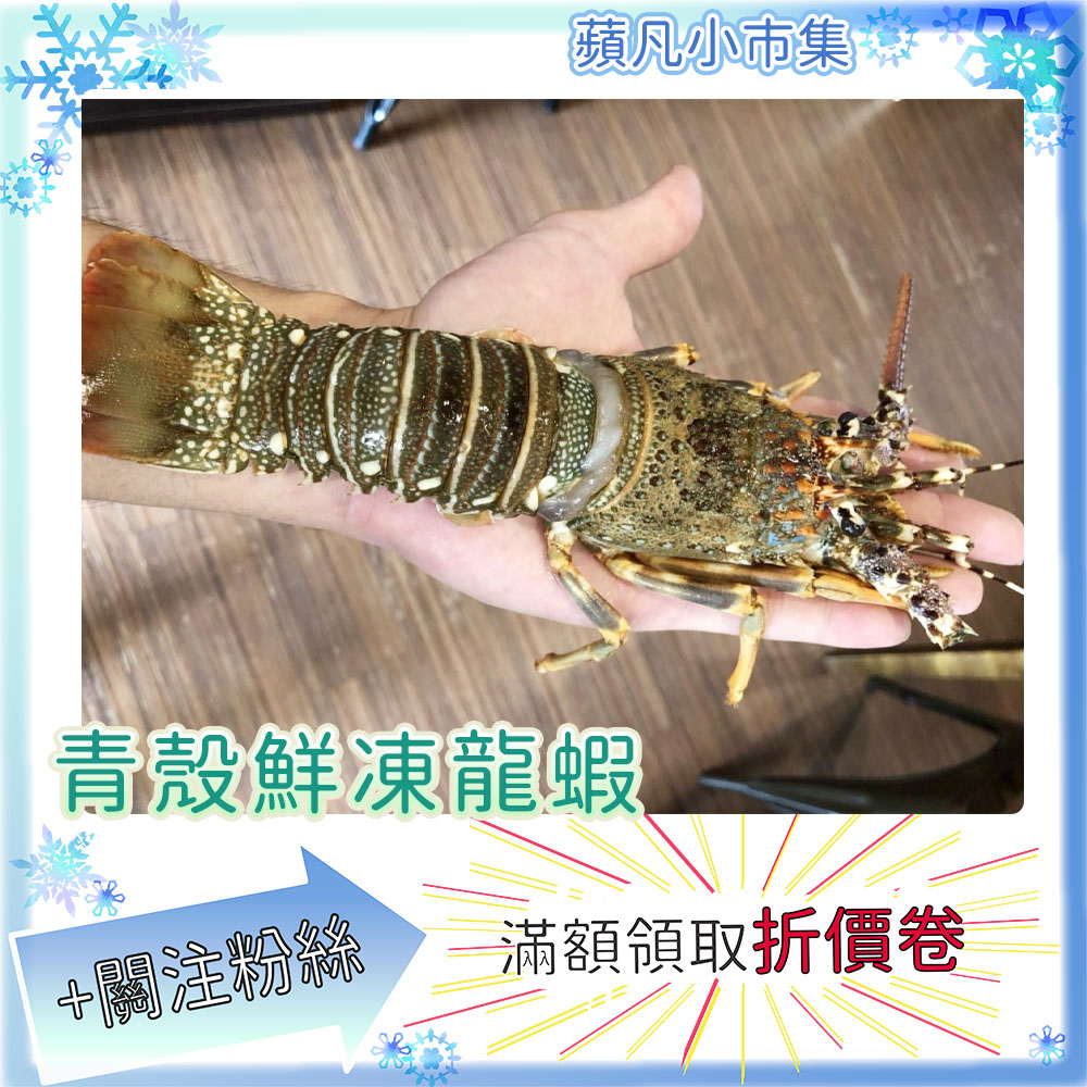 青殼鮮凍龍蝦 100-150g 龍蝦 冷凍龍蝦 青殼