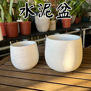 【臺灣現貨-免運】水泥盆 花盆 盆栽 大號 水泥盆栽 塑膠盆 塑膠花盆 盆栽容器 水泥花盆 花器 陶瓷花盆 盆器 010