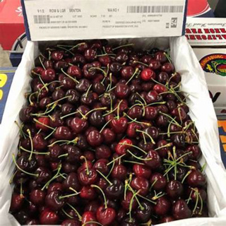 9R 華盛頓 海運金盃 黑櫻桃1kg