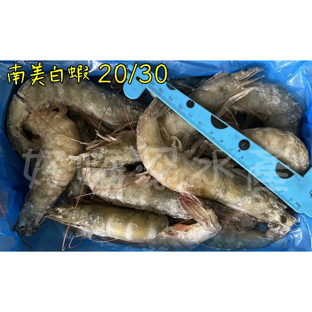 ★好嗨深水產★活凍白蝦．20/30．800克．15~23隻．#1．南美．白蝦．生白蝦．冷凍蝦子．蝦子．火鍋．蝦．海鮮宅配