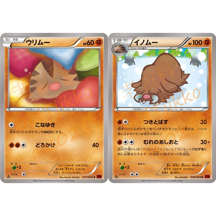 🌸老吉科🍀 Pokémon TCG PTCG 日版絕版XY系列 XY8 一刷 小山豬 長毛豬 普卡 寶可夢卡牌