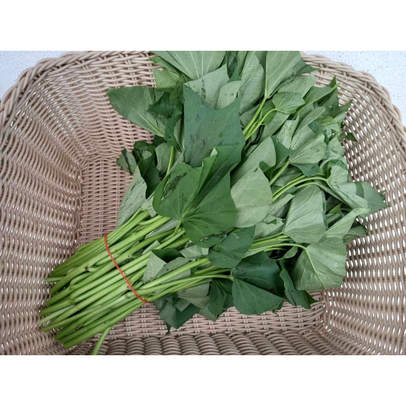 「維特蔬果-批發宅配」地瓜葉 sweet potato leaves