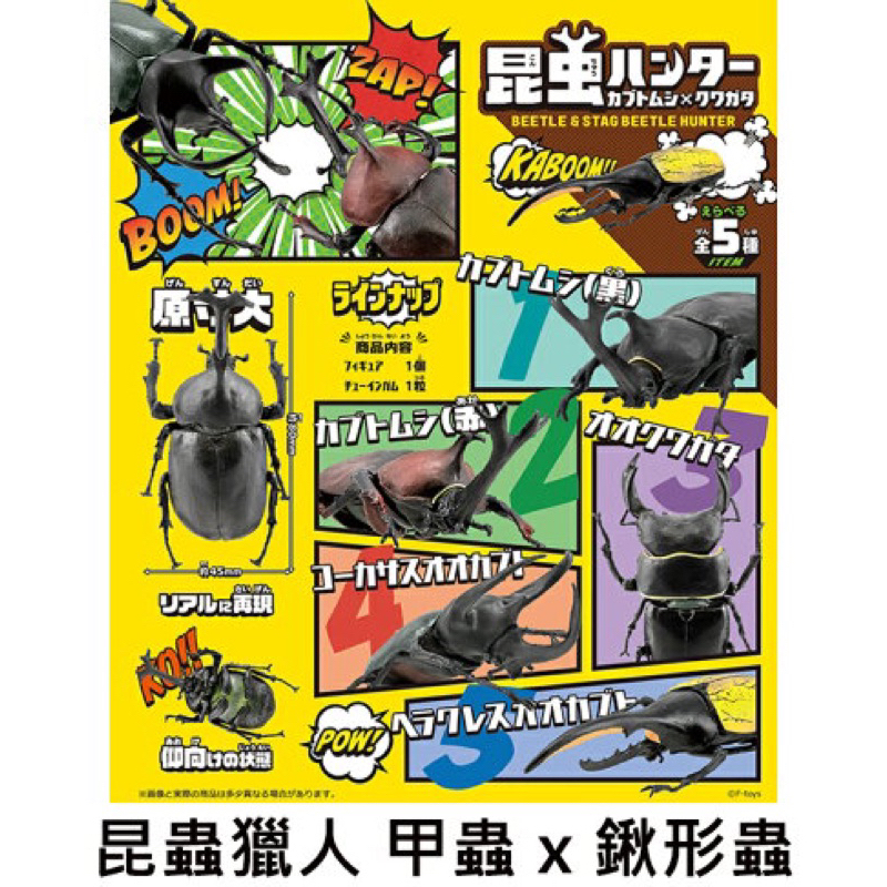 【日本正版授權】全套5款 昆蟲獵人 甲蟲 x 鍬形蟲 盒玩/盲盒 昆蟲模型 昆蟲之王 F-toys