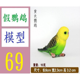 【三峽貓媽的店】模擬野生動物模型鳥類小鸚鵡塑膠實心兒童玩具科教微景觀擺 小鸚鵡模型裝飾