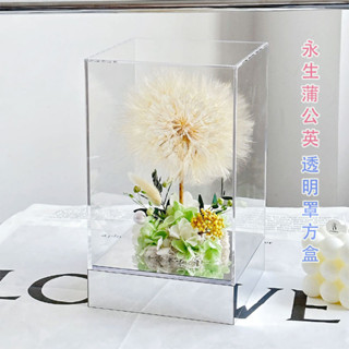 🍀蒲公英透明方罩🍀 蒲公英永生花 玻璃罩 壓克力罩 純白蒲公英 乾燥花 永生花 婚禮 生日畢業禮物 療癒小物 情人節禮物