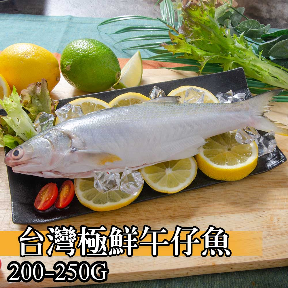 【鮮綠生活】台灣極鮮午仔魚200g-250g