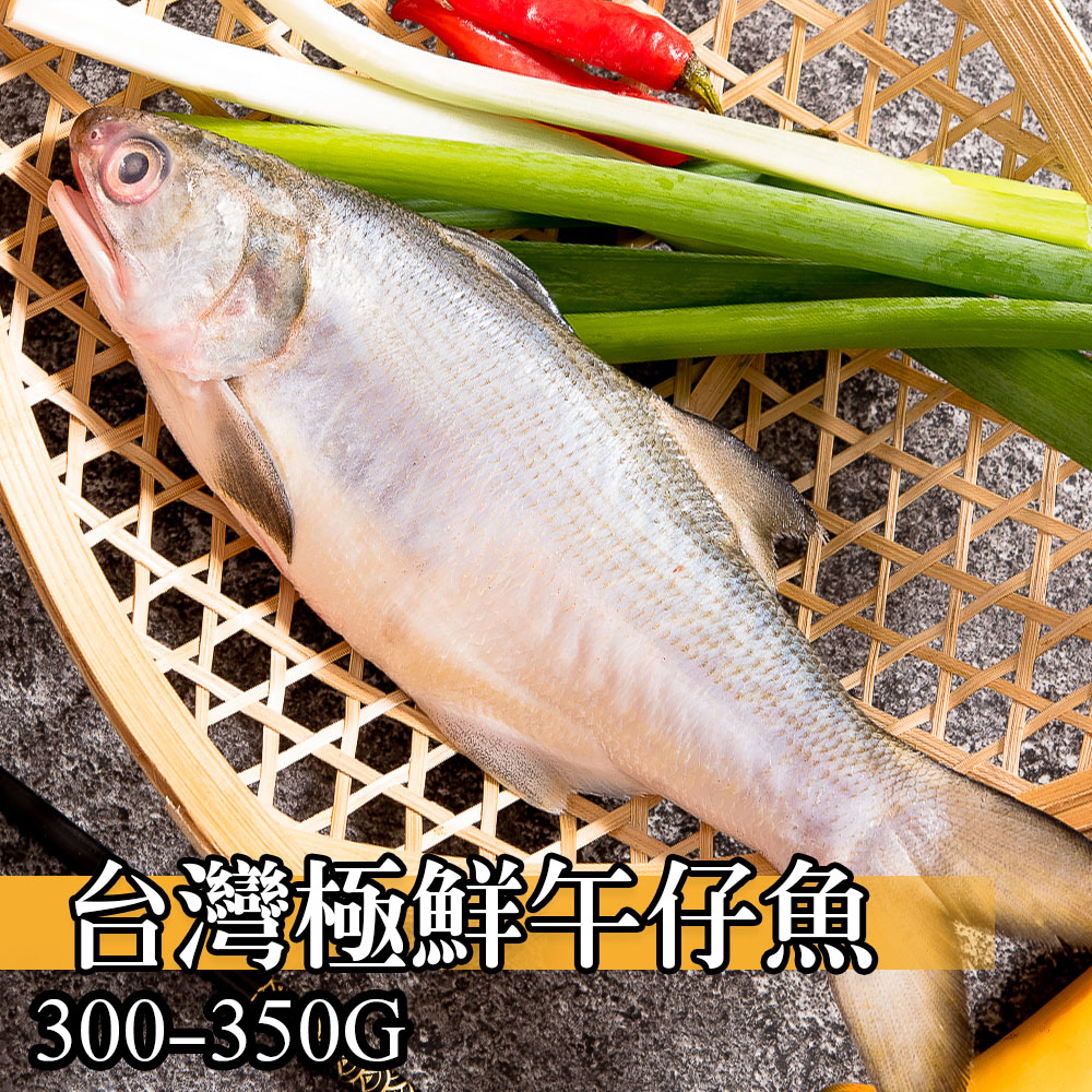 【鮮綠生活】台灣極鮮午仔魚300g-350g