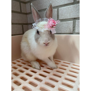 Q2-手工寵物生日帽子寵物髮飾頭套兔兔牽繩衣配件兔子花圈-渡假風編織草帽