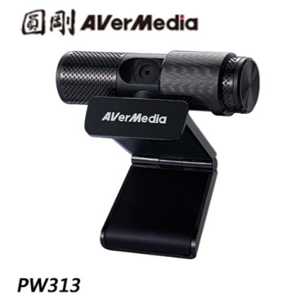 [世全數位科技]圓剛 PW313 Live Streamer CAM Full HD 1080p高畫質直播網路攝影機