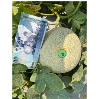 愷🍈自產自銷🍈產地價直售-2粒裝洋香瓜一粒約2台斤重👍品質保證