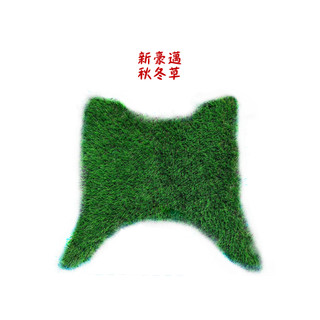 草皮踏墊 腳踏墊 光陽 新豪邁125 VCS 鼓煞