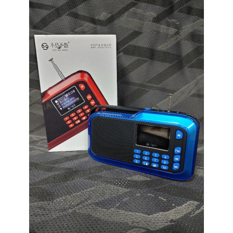 不見不散 LV390+藍芽插卡收音機音箱(現貨藍色)