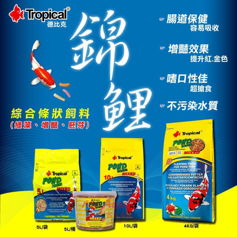 【魚草杰園】Tropical 錦鯉綜合條狀飼料 5L 5公升 桶裝 #白金蝴蝶龍鯉 #玉如意 #短身龍鯉 #金魚