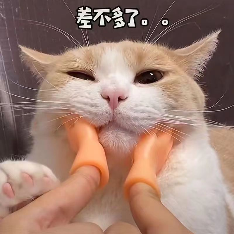 寵物玩具 小手擼猫玩具橡膠指套 迷你創意可愛小手指套