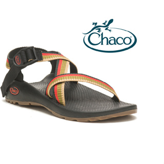 美國 Chaco 女 Z/1 CLASSIC 越野運動涼鞋--標準款 戶外涼鞋 CH-ZCW01-HI11 熱帶苔癬
