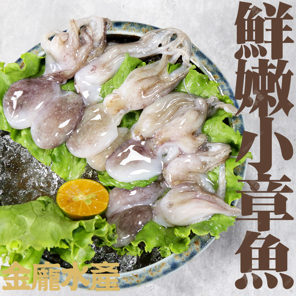60/80小章魚【金龐水產海鮮批發】F015 餐廳 團爸 團媽 章魚燒