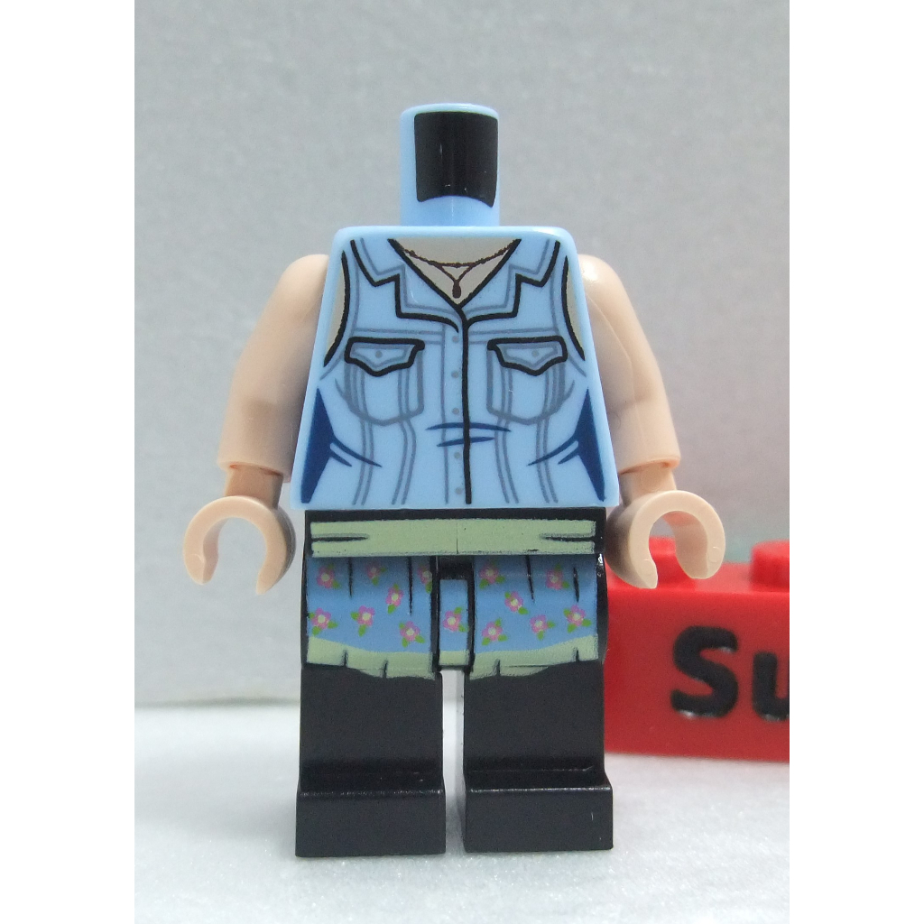 【積木2010】樂高 LEGO 亮淡藍色 口袋 上下身 / 六人行 瑞秋 身體+腳 / 21319 Friends