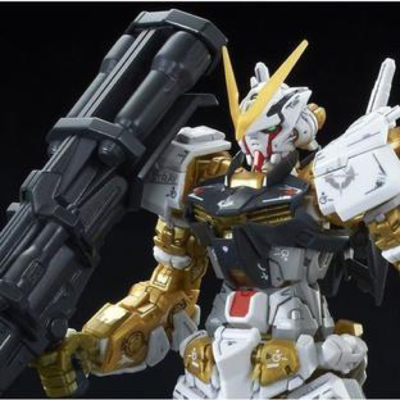 現貨 一盒PB 萬代 RG 1/144 GUNDAM ASTRAY GOLD FRAME 金色異端鋼彈 金異端 藍異端