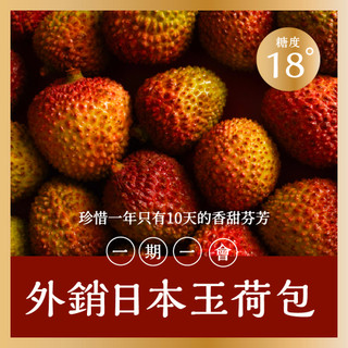 玉荷包 荔枝 禮盒 可打統編 農場直送外銷日本級 免運 荔枝 友善種植 水果