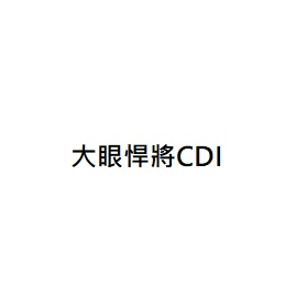 大眼悍將CDI 大眼悍將C.D.I. 三陽正廠零件 三陽原廠零件 三陽公司貨