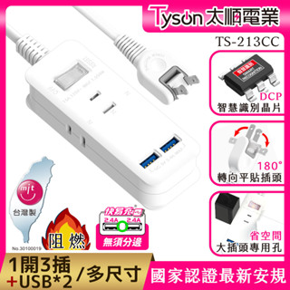 【現貨】Tyson太順電業 臺灣製 1切3座 2孔延長線 213CC 多尺寸延長線 雙USB埠 安全防火 阻燃 自動斷電