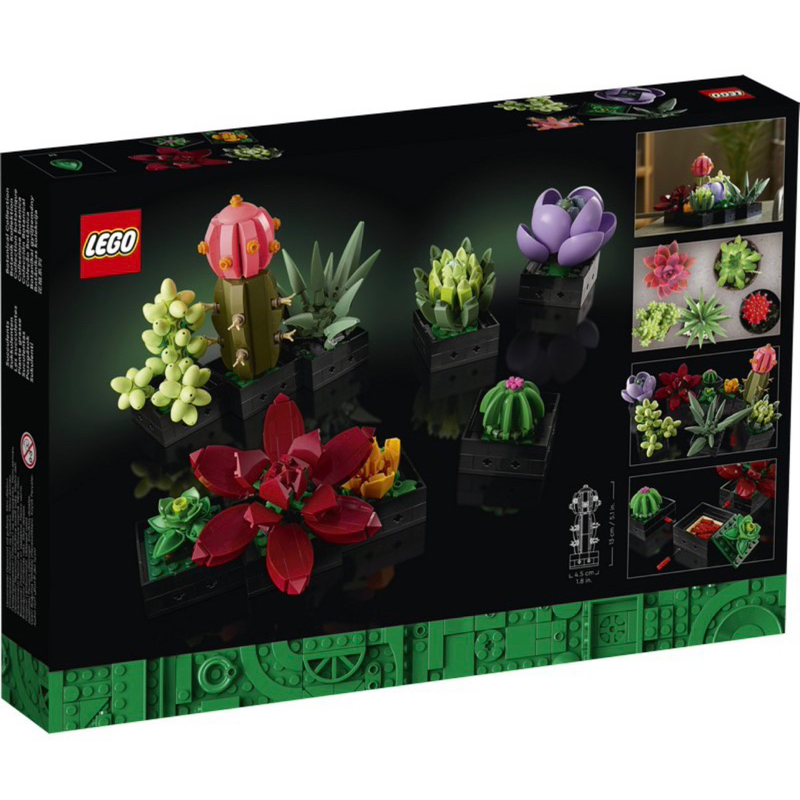 LEGO 10309 多肉植物 樂高藝術系列樂高盒組