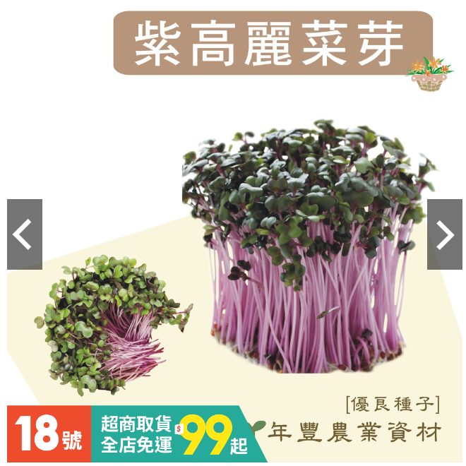 [優良種子] 紫高麗菜芽種子, 非基改無毒種子, 營養價值高! 600公克